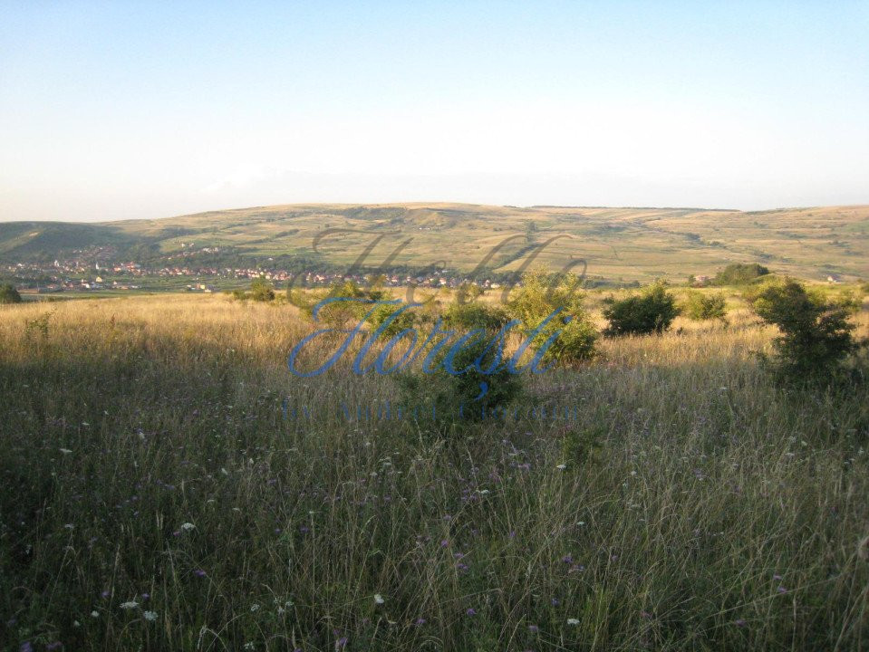 Oportunitate de Investiție – Teren Intravilan 5.700 mp, Chinteni