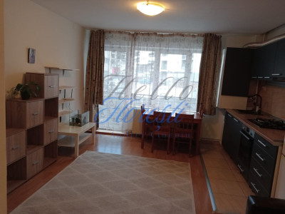 Apartament 2 camere mobilat Zona Baciu