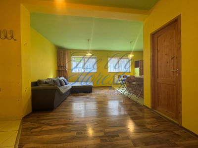 Apartament 3 camere, mobilat utilat, 53 mp, zona Teilor