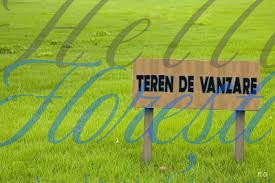 OPORTUNITATE DE INVESTITIE! Teren Intravilan 11.600 mp, Zona Sopor