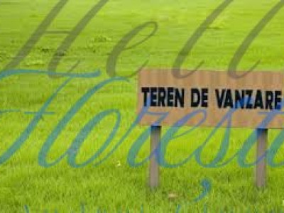 OPORTUNITATE DE INVESTITIE! Teren Intravilan 11.600 mp, Zona Sopor