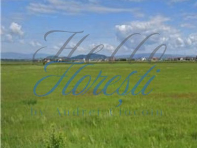 Teren intravilan 1.440mp suprafata utila, pretabil duplex
