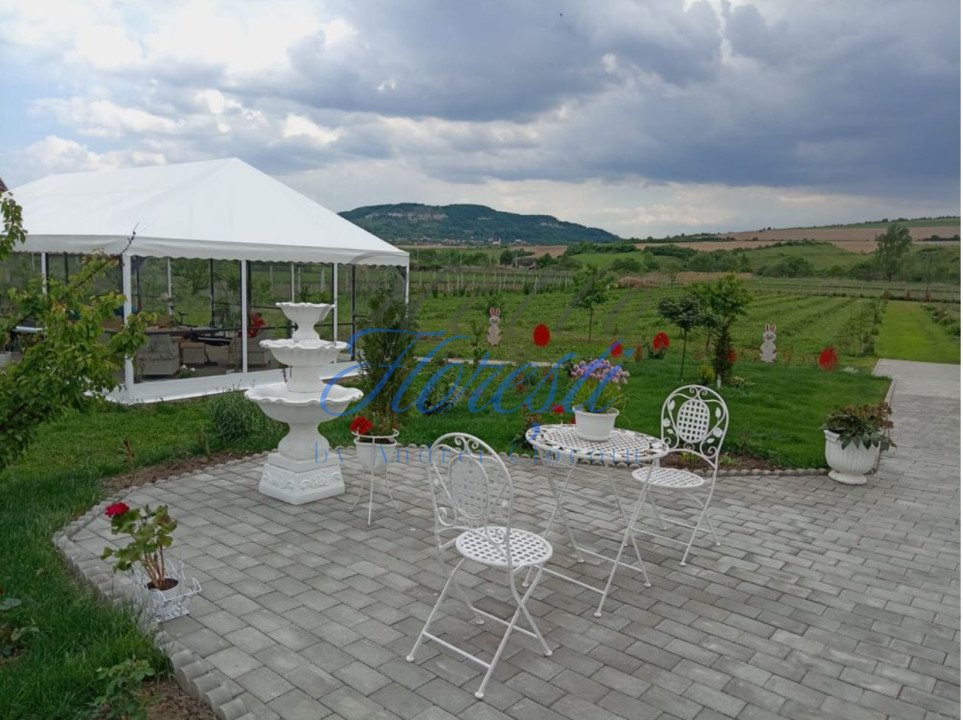 Casa 3 camere + plantație de zmeura, 200 mp, Fodora, Cluj