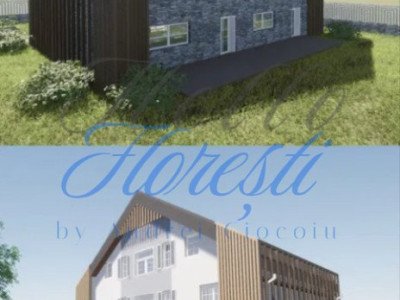 Casa spatioasa intre Faget si Salicea – ideala pentru locuinta sau afacere!