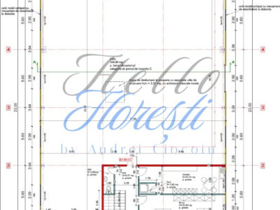 Proiect 10 hale de inchirat in Floresti! FINALIZARE 2025