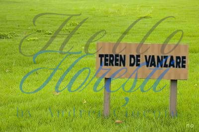 Teren 4813  mp utili zona Aiton 