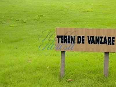 Teren partial intravilan,utilitati 5800mp Dezmir