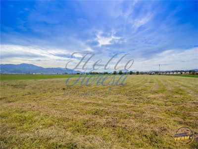Teren intravilan 350mp suprafata utila, pretabil duplex | Borhanci