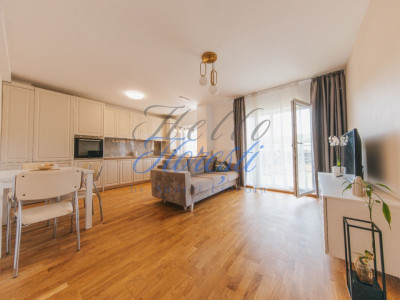 Apartament de 2 camere, 45,1 mp. terasa 49.5 mp. zona Terra Floresti