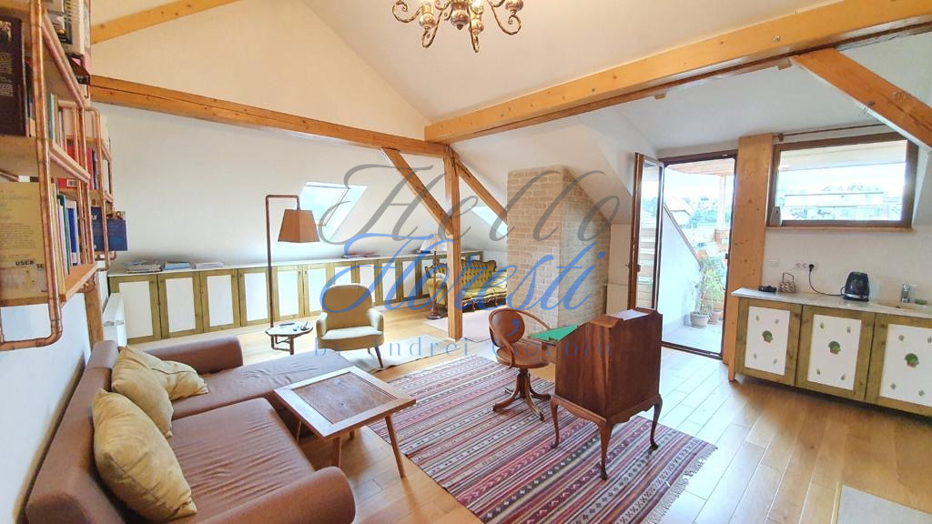 Apartament spațios tip vilă 289,3mp, Zona Andrei Muresanu | Cluj