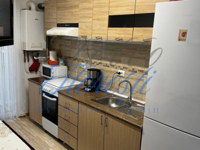 Apartament 1 camera zona Porii