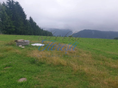 Teren de vanzare partial intravilan, Rasca, 10989mp