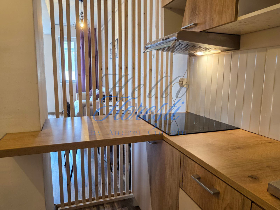 Apartament cu 2 camere, in zona Terra