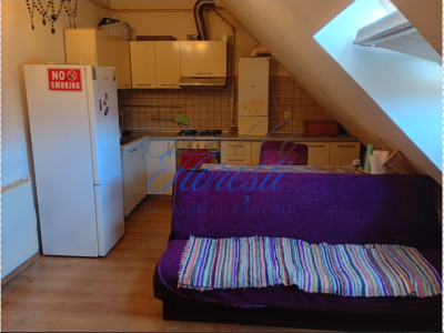 Mansarda 2 camere, 40 mp zona Porii 