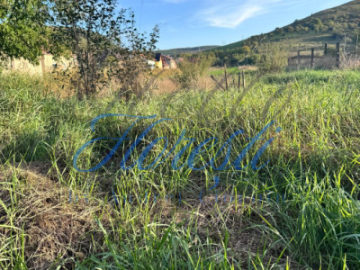 Oportunitate , teren intravilan Luna de sus 28 ml front stradal, 5800mp