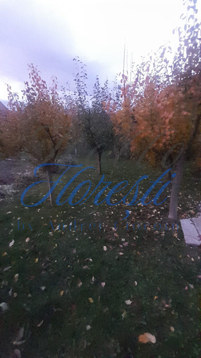 Casa individuala 7camere 140.80mp, garaj,463 mp teren zona Stadionului 