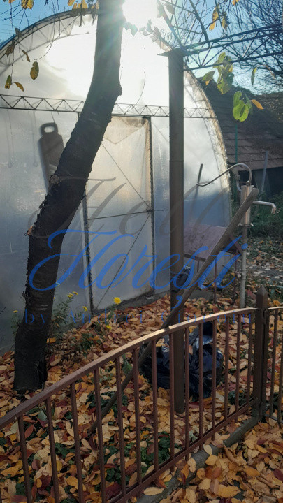 Casa 3 camere 120 mp front la 2 strazi cu gradina 583 mp zona Avram Iancu