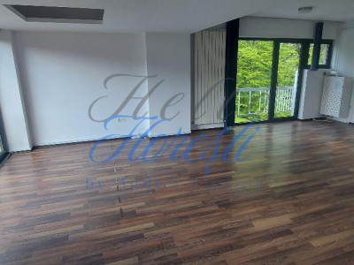 Spatiu birouri 250 mp Zona Gradina Botanica , Cluj