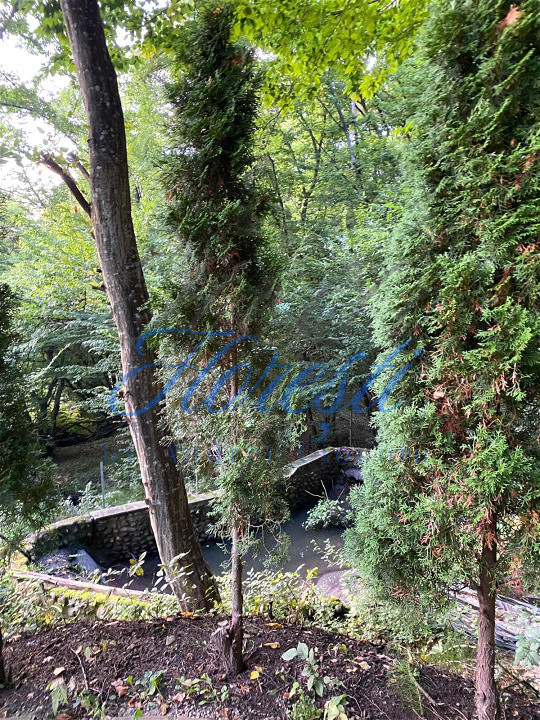 Casă SU 400 mp, teren 3000 mp, Făget 