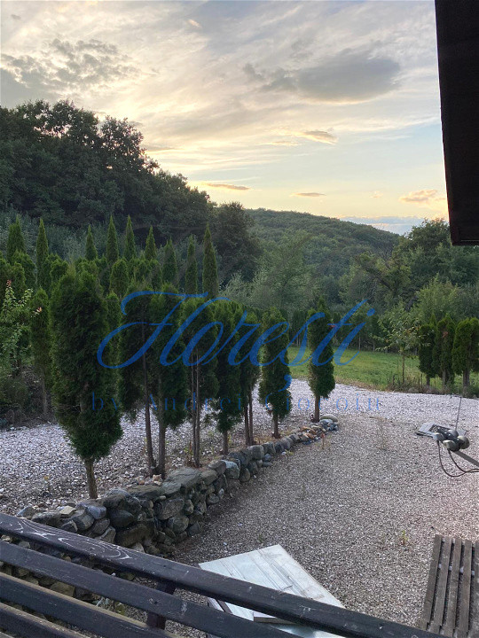 Casă SU 400 mp, teren 3000 mp, Făget 