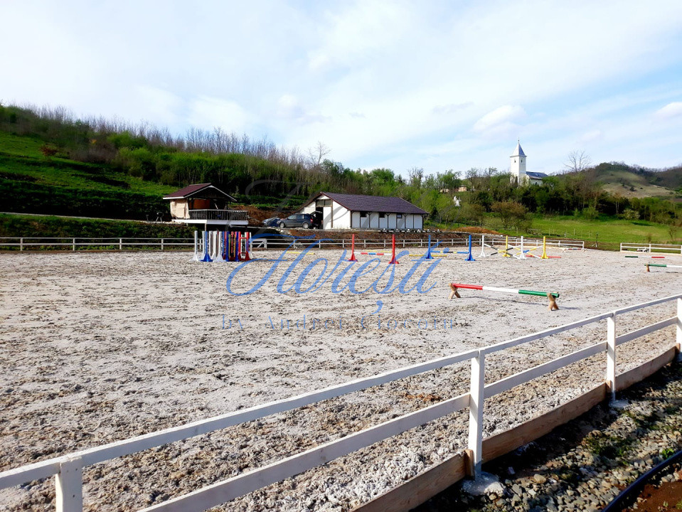 Se vinde Centru de echitatie Zona Chinteni