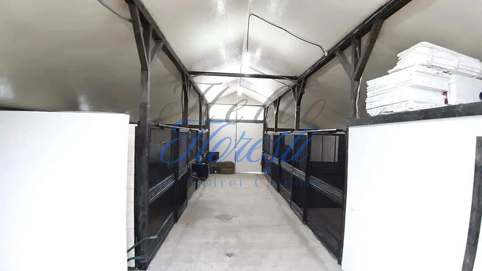 Se vinde Centru de echitatie Zona Chinteni