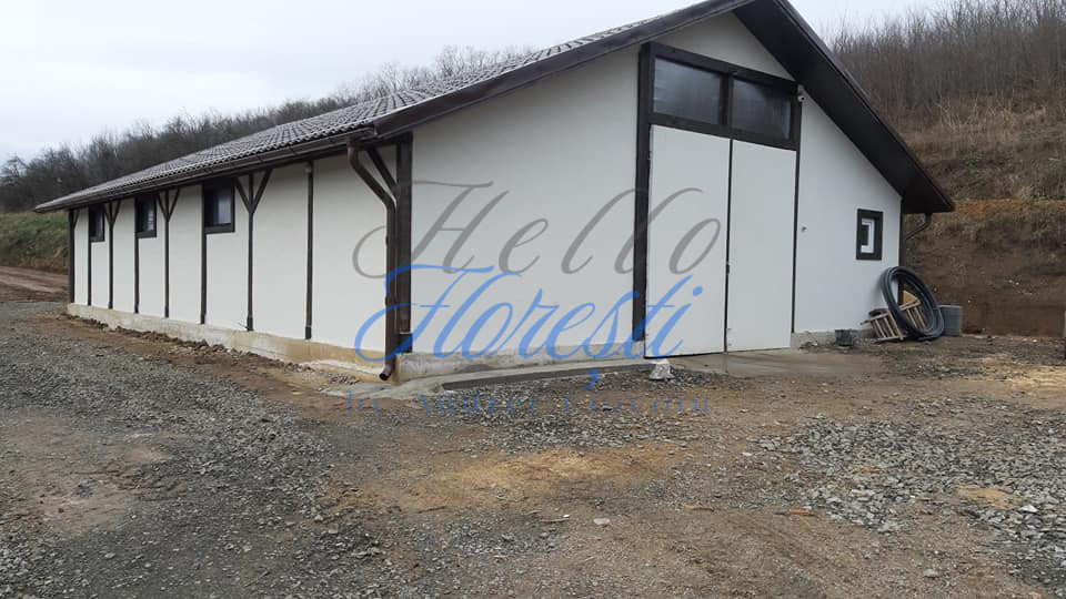 Se vinde Centru de echitatie Zona Chinteni