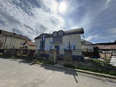 Casa individuala 17 incaperi 257 mp utili zona Someseni 