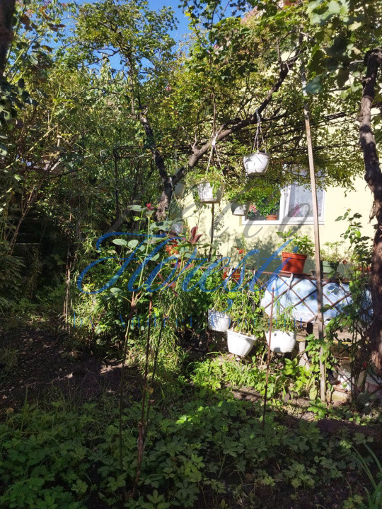 Casa individuala , cu 477 mp Dambu Rotund , Cluj