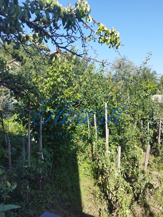 Casa individuala , cu 477 mp Dambu Rotund , Cluj