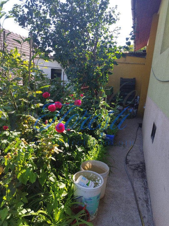 Casa individuala , cu 477 mp Dambu Rotund , Cluj