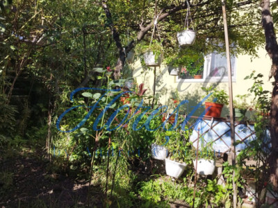 Casa individuala , cu 477 mp Dambu Rotund , Cluj