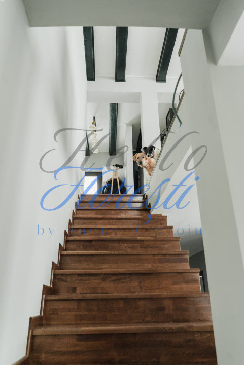 Vila 4 camere zona Damul-Rotund