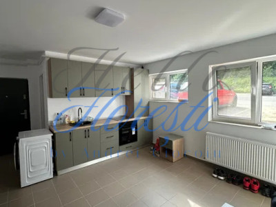 Apartament 1 camera in zona Vivo