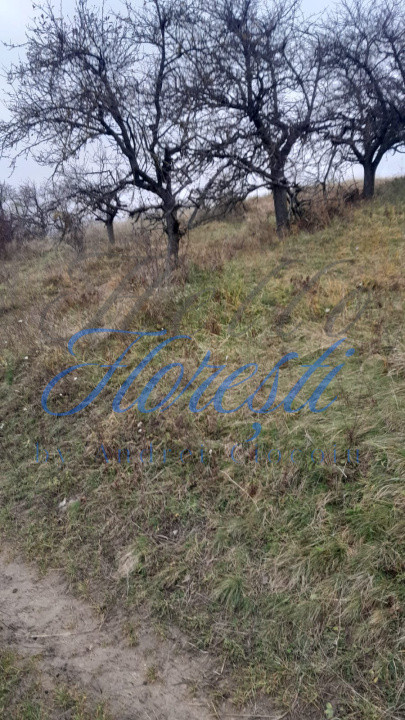 Teren intravilan,  3450 mp, front 23 m, lungime 150 m in Borhanci