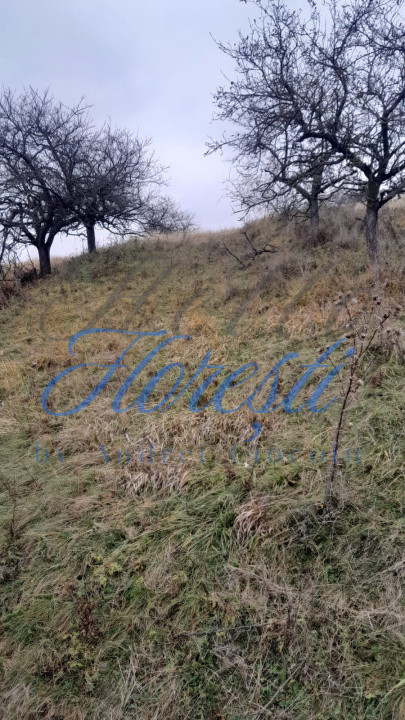 Teren intravilan,  3450 mp, front 23 m, lungime 150 m in Borhanci