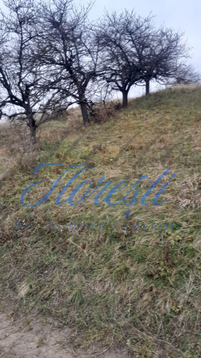 Teren intravilan,  3450 mp, front 23 m, lungime 150 m in Borhanci