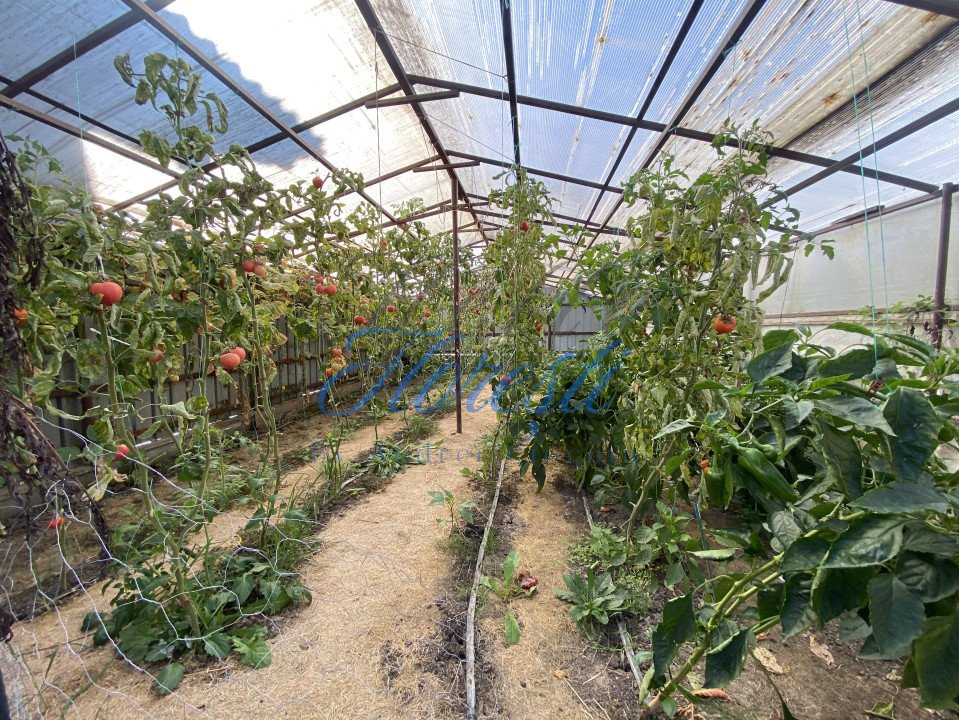 Casa cu o anexa, zona Tautiului