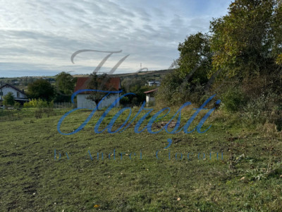 Teren extravilan 1829 mp front la strada 13.28 m zona Fanate