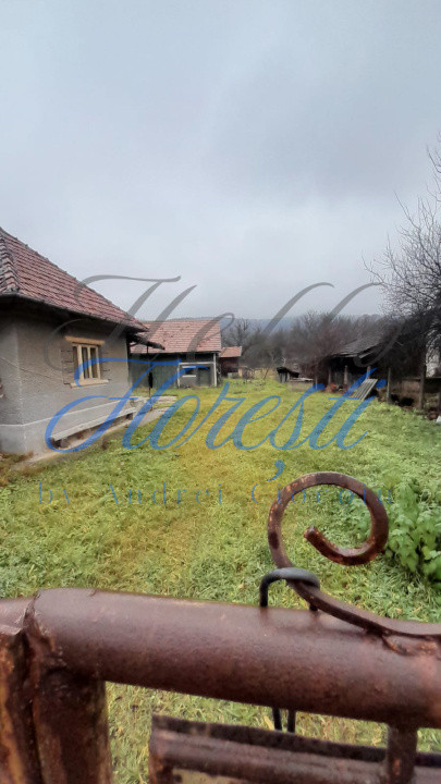 Casa individuala 3 camere 60 mp,2000 mp teren zona zimbor