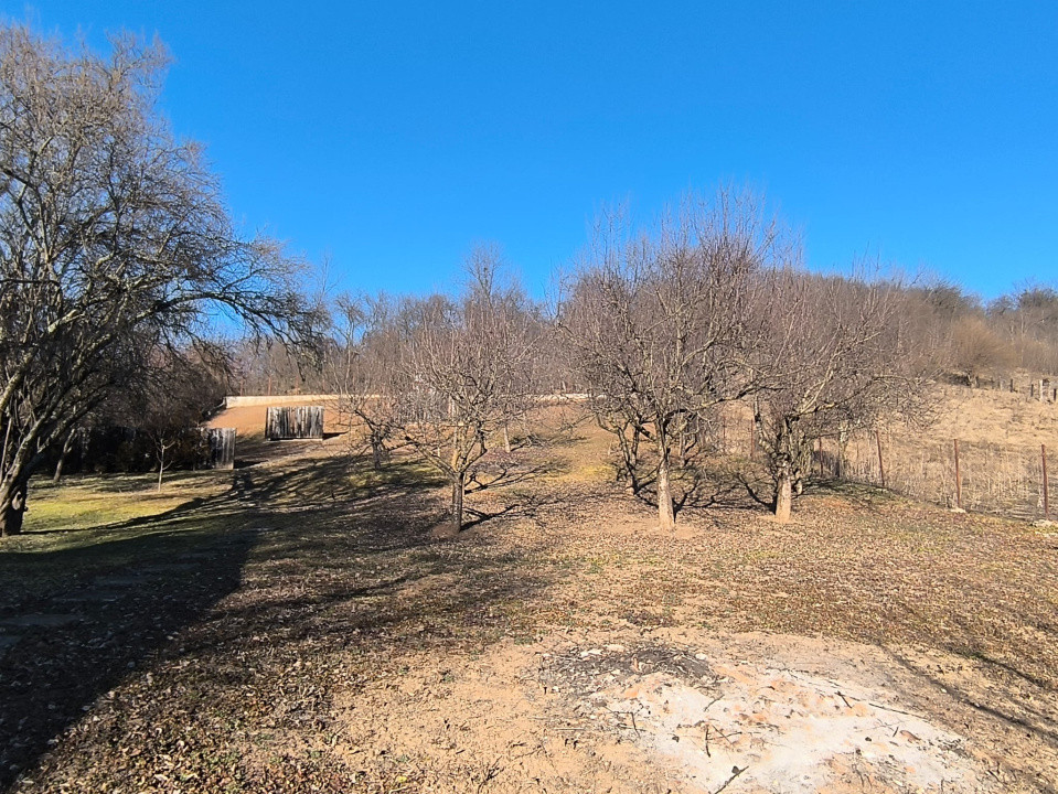 Casa individuala 2 camere 60mp,1228 mp teren zona Zimbor