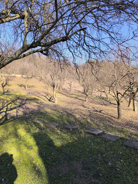 Casa individuala 2 camere 60mp,1228 mp teren zona Zimbor