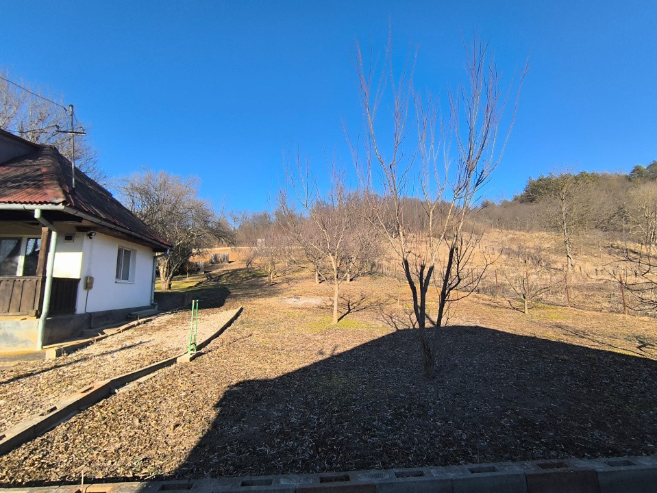 Casa individuala 2 camere 60mp,1228 mp teren zona Zimbor