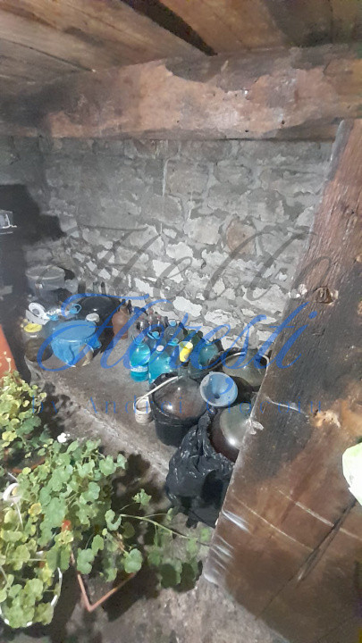 Casa individuala 4 camere 124 mp,4000 mp teren zona Cuzaplac 