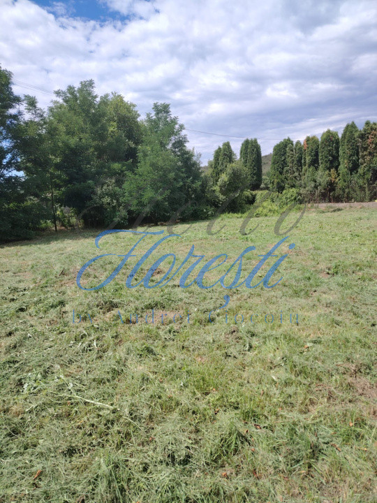 Casa 97 mp , 2200 mp teren, anexe com. Zimbor