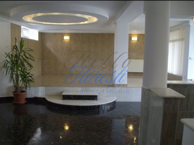 UNICAT vila cu 5 camere, 300 MP,  Zona Plopilor, Cluj