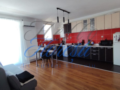 Apartament 2 camere, 53 mp , Zona Muzeu Apei Floresti 