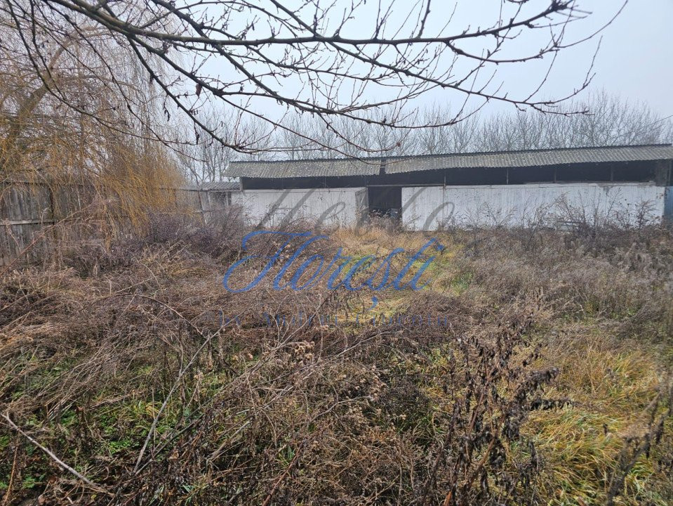 Hala 330 mp + Teren 1000 mp, Borșa, Cluj