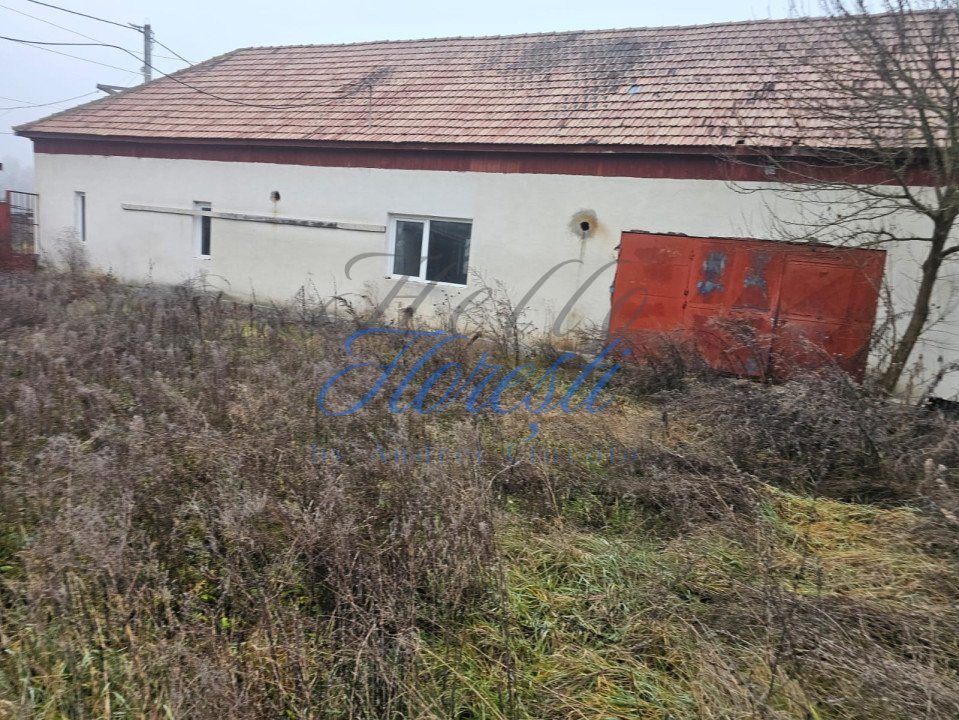 Hala 330 mp + Teren 1000 mp, Borșa, Cluj