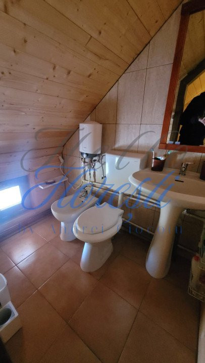 Cabana pe 2 nivele, 1600 mp teren, garaj, zona Rasca